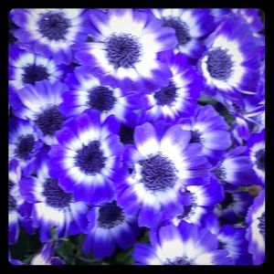 👚👠👗SUPER SALE!!👚👠👗